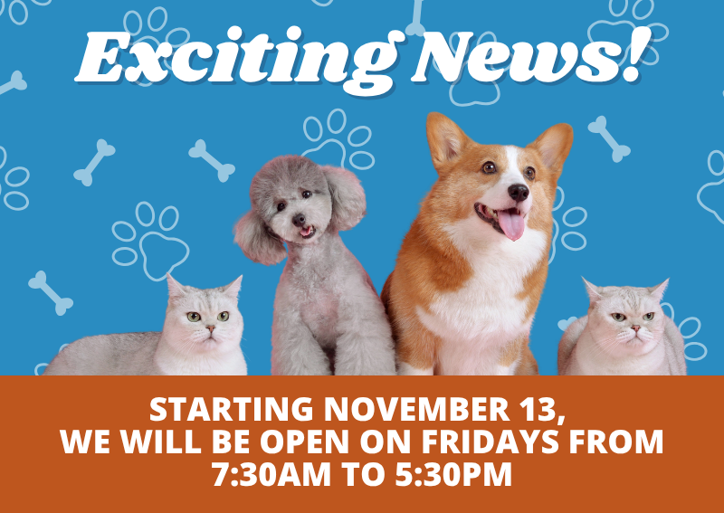 Carousel Slide 1: Beginning Nov 13, 2026, we will be open on Fridays from 7:30am to 5:30pm!